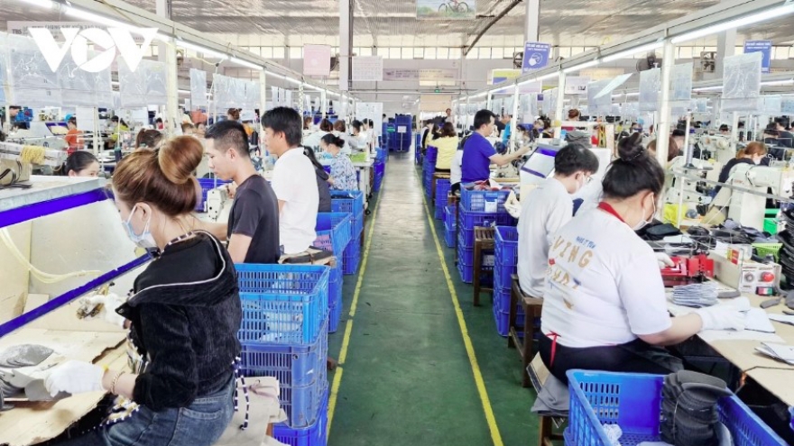 High return-to-work rates in HCM City and Da Nang after Tet holiday